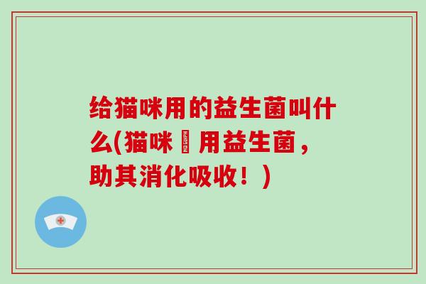 给猫咪用的益生菌叫什么(猫咪專用益生菌，助其消化吸收！)