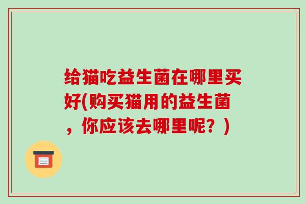 给猫吃益生菌在哪里买好(购买猫用的益生菌，你应该去哪里呢？)