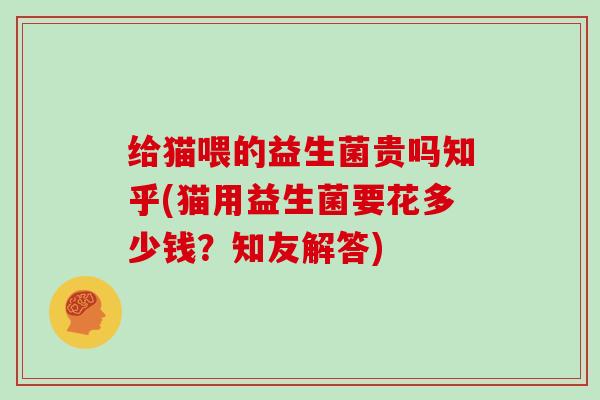给猫喂的益生菌贵吗知乎(猫用益生菌要花多少钱？知友解答)