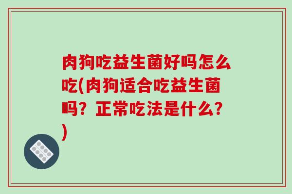 肉狗吃益生菌好吗怎么吃(肉狗适合吃益生菌吗？正常吃法是什么？)