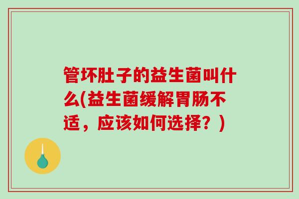 管坏肚子的益生菌叫什么(益生菌缓解胃肠不适，应该如何选择？)