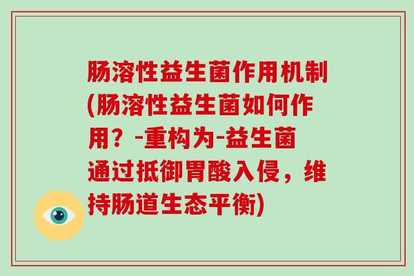 肠溶性益生菌作用机制(肠溶性益生菌如何作用？-重构为-益生菌通过抵御胃酸入侵，维持肠道生态平衡)