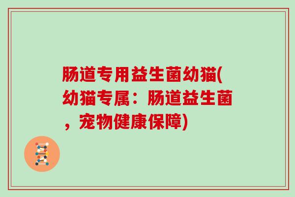 肠道专用益生菌幼猫(幼猫专属：肠道益生菌，宠物健康保障)