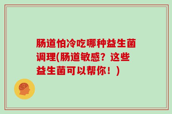 肠道怕冷吃哪种益生菌调理(肠道敏感？这些益生菌可以帮你！)