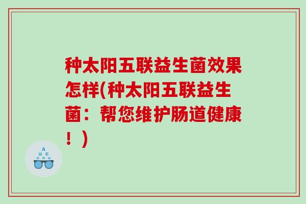 种太阳五联益生菌效果怎样(种太阳五联益生菌：帮您维护肠道健康！)