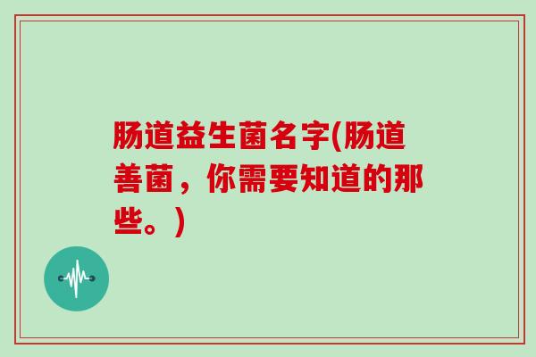 肠道益生菌名字(肠道善菌，你需要知道的那些。)