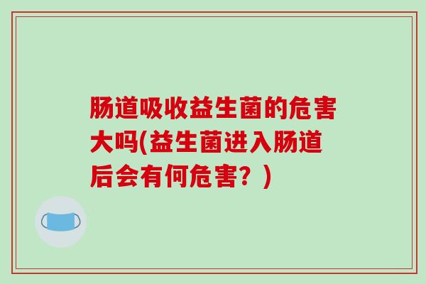 肠道吸收益生菌的危害大吗(益生菌进入肠道后会有何危害？)