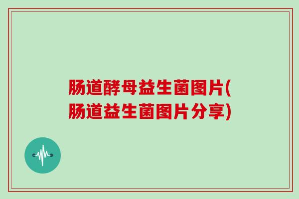肠道酵母益生菌图片(肠道益生菌图片分享)