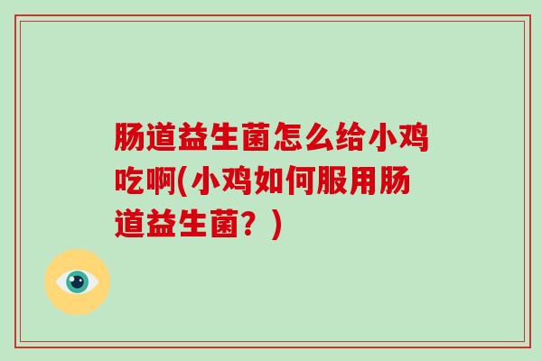 肠道益生菌怎么给小鸡吃啊(小鸡如何服用肠道益生菌？)