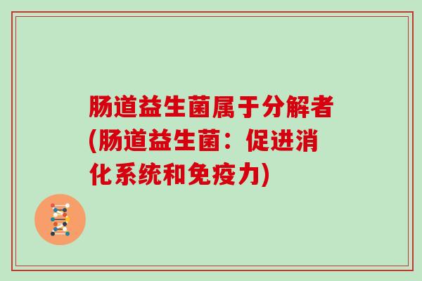 肠道益生菌属于分解者(肠道益生菌:促进消化系统和力) 肠道益生菌属于分解者(肠道益生菌:促进消化系统和力)