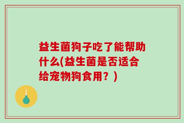 益生菌狗子吃了能帮助什么(益生菌是否适合给宠物狗食用？)
