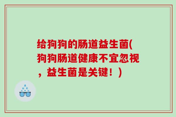给狗狗的肠道益生菌(狗狗肠道健康不宜忽视，益生菌是关键！)