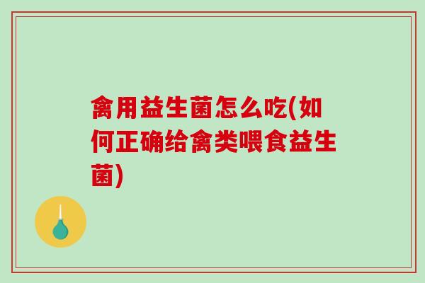 禽用益生菌怎么吃(如何正确给禽类喂食益生菌)