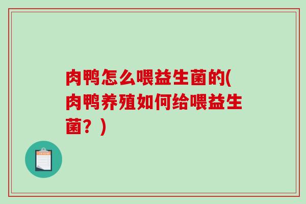 肉鸭怎么喂益生菌的(肉鸭养殖如何给喂益生菌？)