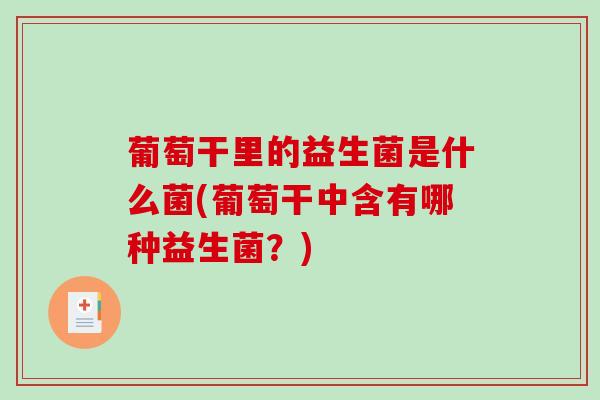 葡萄干里的益生菌是什么菌(葡萄干中含有哪种益生菌？)