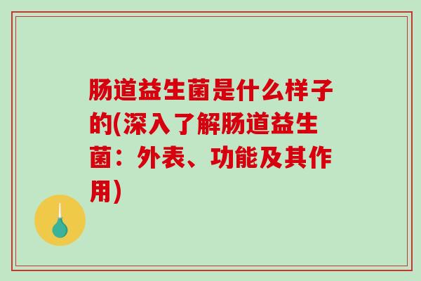 肠道益生菌是什么样子的(深入了解肠道益生菌：外表、功能及其作用)