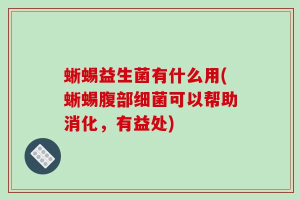 蜥蜴益生菌有什么用(蜥蜴腹部可以帮助消化，有益处)
