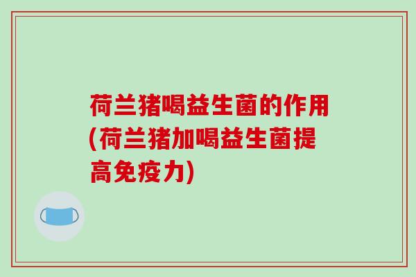荷兰猪喝益生菌的作用(荷兰猪加喝益生菌提高免疫力)