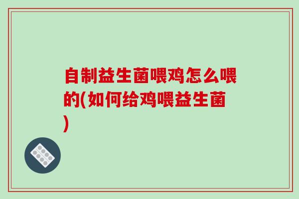 自制益生菌喂鸡怎么喂的(如何给鸡喂益生菌)