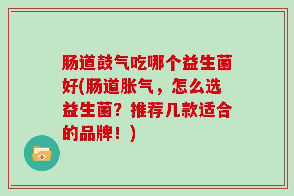 肠道鼓气吃哪个益生菌好(肠道胀气，怎么选益生菌？推荐几款适合的品牌！)