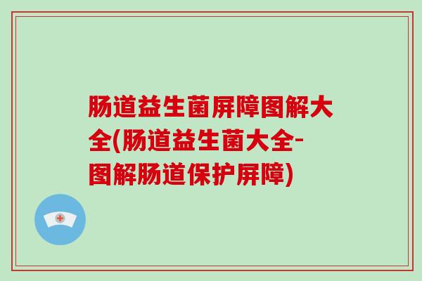 肠道益生菌屏障图解大全(肠道益生菌大全-图解肠道保护屏障)