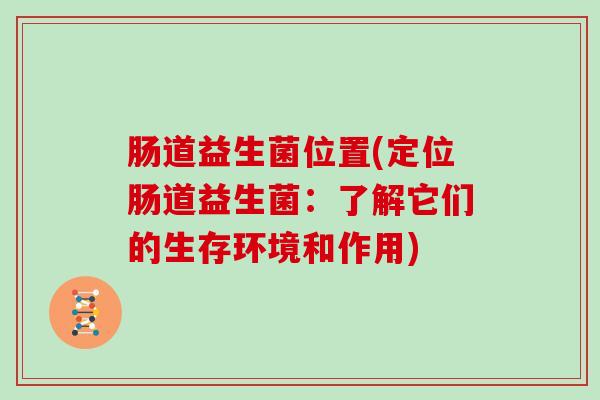 肠道益生菌位置(定位肠道益生菌：了解它们的生存环境和作用)