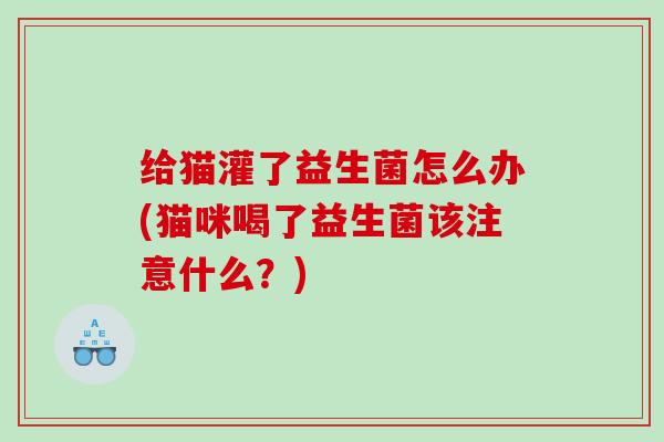 给猫灌了益生菌怎么办(猫咪喝了益生菌该注意什么？)