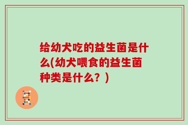给幼犬吃的益生菌是什么(幼犬喂食的益生菌种类是什么？)