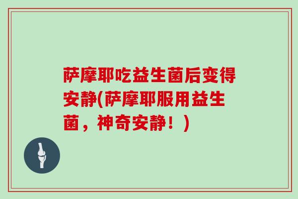 萨摩耶吃益生菌后变得安静(萨摩耶服用益生菌，神奇安静！)