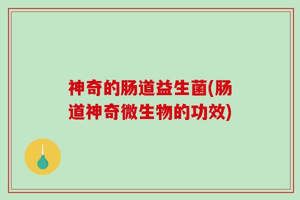 神奇的肠道益生菌(肠道神奇微生物的功效)