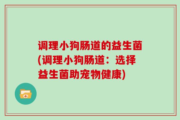 调理小狗肠道的益生菌(调理小狗肠道：选择益生菌助宠物健康)