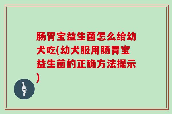 肠胃宝益生菌怎么给幼犬吃(幼犬服用肠胃宝益生菌的正确方法提示)