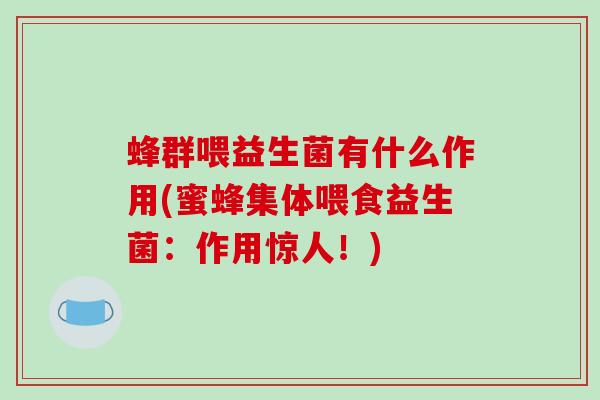 蜂群喂益生菌有什么作用(蜜蜂集体喂食益生菌：作用惊人！)