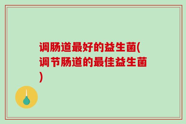 调肠道好的益生菌(调节肠道的佳益生菌)