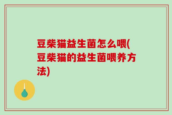 豆柴猫益生菌怎么喂(豆柴猫的益生菌喂养方法)