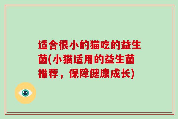 适合很小的猫吃的益生菌(小猫适用的益生菌推荐，保障健康成长)