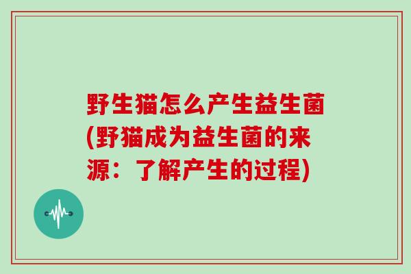 野生猫怎么产生益生菌(野猫成为益生菌的来源：了解产生的过程)