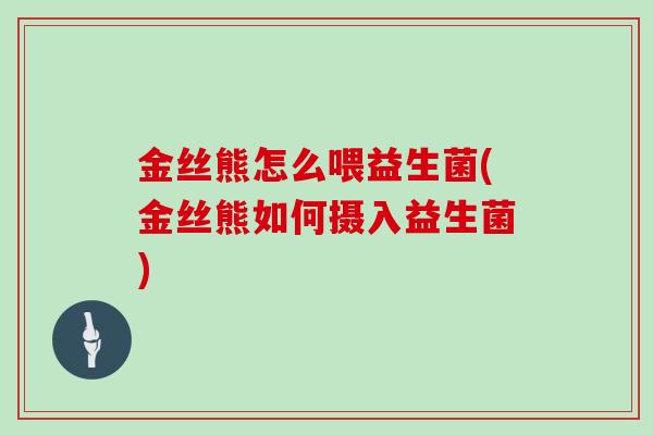 金丝熊怎么喂益生菌(金丝熊如何摄入益生菌)