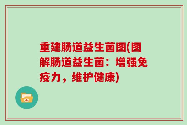 重建肠道益生菌图(图解肠道益生菌：增强免疫力，维护健康)