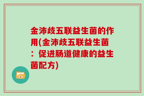 金沛歧五联益生菌的作用(金沛歧五联益生菌：促进肠道健康的益生菌配方)