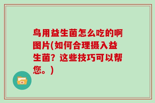 鸟用益生菌怎么吃的啊图片(如何合理摄入益生菌？这些技巧可以帮您。)