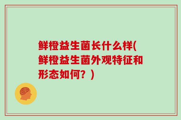 鲜橙益生菌长什么样(鲜橙益生菌外观特征和形态如何？)