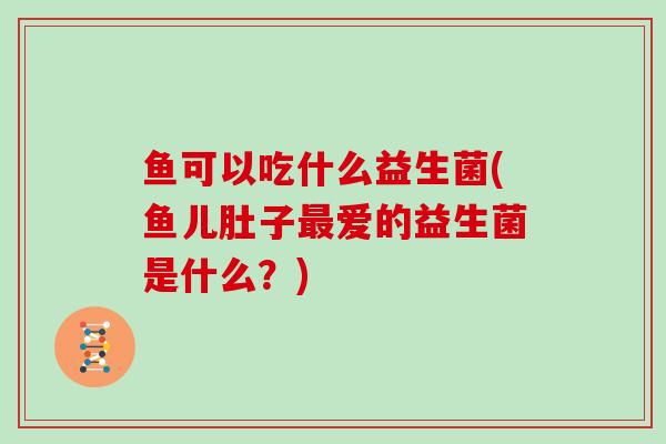 鱼可以吃什么益生菌(鱼儿肚子爱的益生菌是什么？)