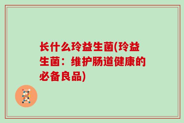 长什么玲益生菌(玲益生菌：维护肠道健康的必备良品)