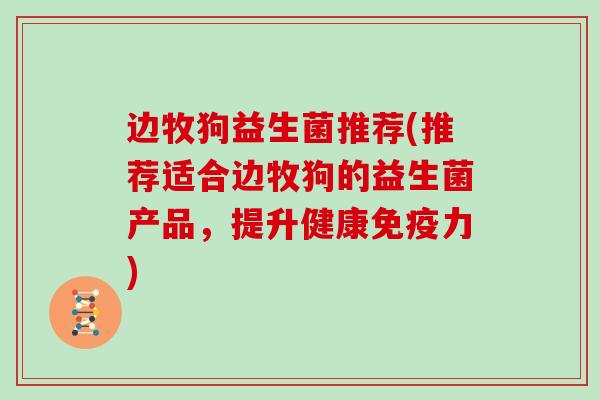 边牧狗益生菌推荐(推荐适合边牧狗的益生菌产品，提升健康免疫力)