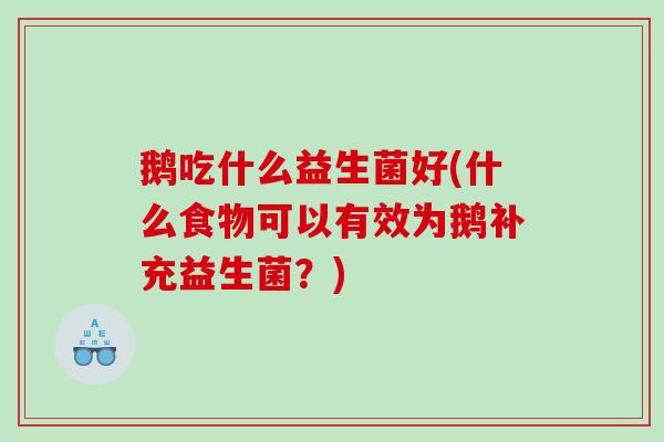 鹅吃什么益生菌好(什么食物可以有效为鹅补充益生菌？)