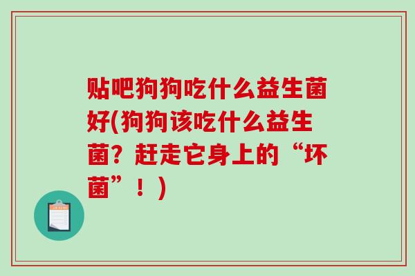 贴吧狗狗吃什么益生菌好(狗狗该吃什么益生菌？赶走它身上的“坏菌”！)