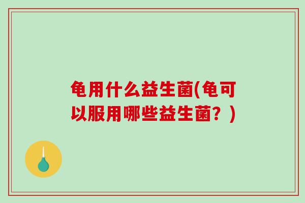 龟用什么益生菌(龟可以服用哪些益生菌？)