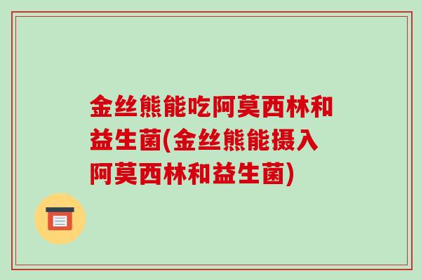 金丝熊能吃阿莫西林和益生菌(金丝熊能摄入阿莫西林和益生菌)