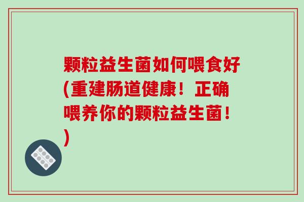 颗粒益生菌如何喂食好(重建肠道健康！正确喂养你的颗粒益生菌！)